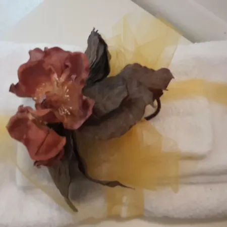 A Casa Di Desideria * Monsampolo Del Tronto