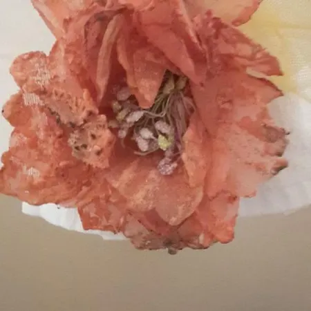 A Casa Di Desideria בית הארחה